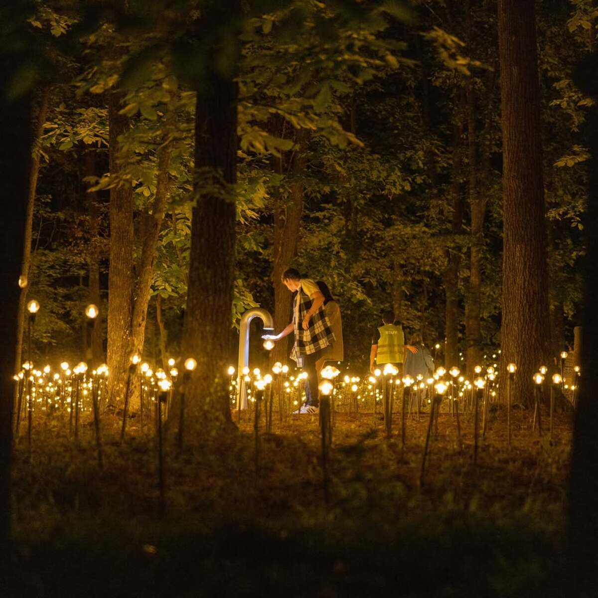 Exposición Muse de Arte Moderno Jardín Inconcluso 