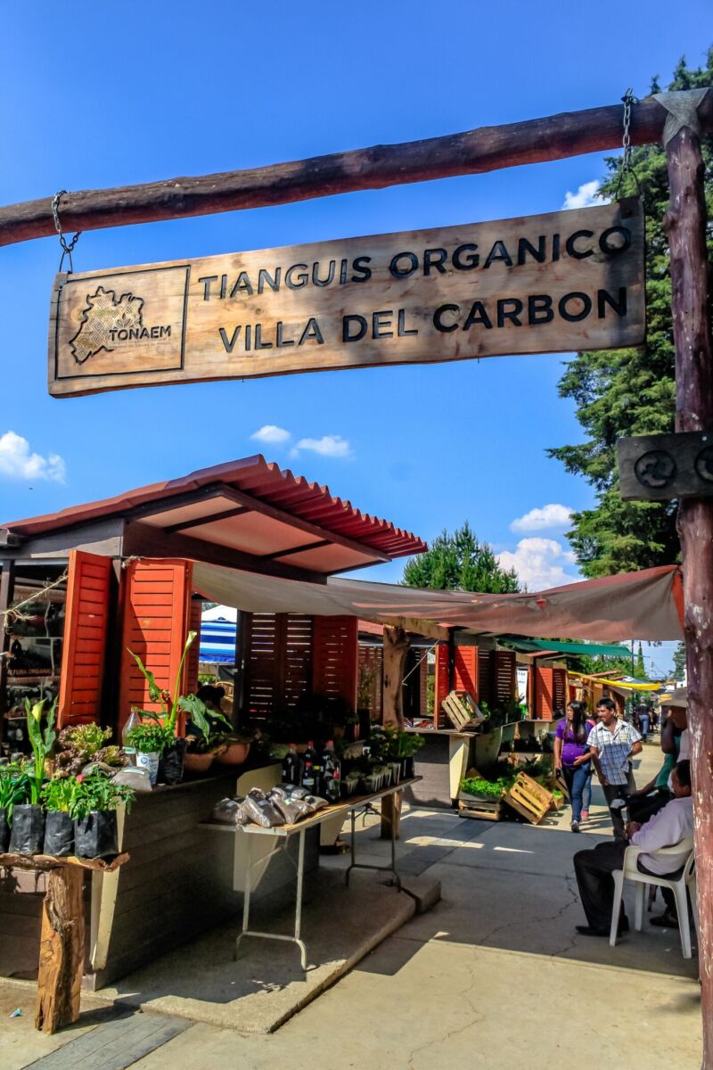 tianguis gastronómico y artesanal de villa del carbón
