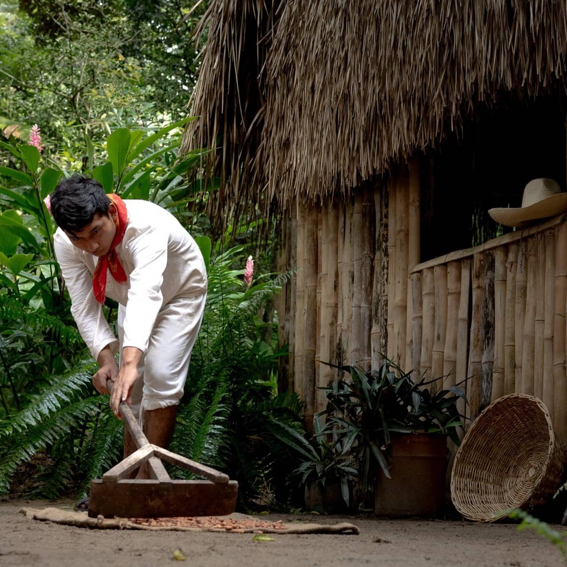 El recorrido por esta hacienda cacaotera en Tabasco sabe a puro chocolate