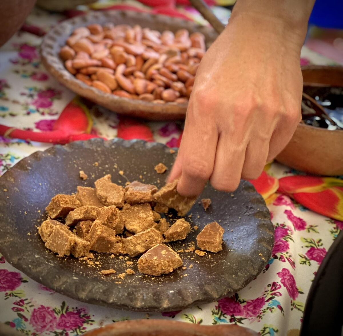 Degustción de cacao y chocolate
