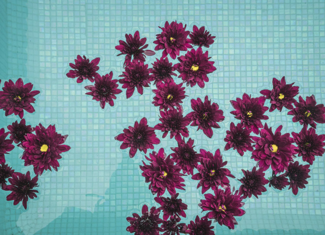 hotel casa eva con alberca climatizada cerca de la cdmx