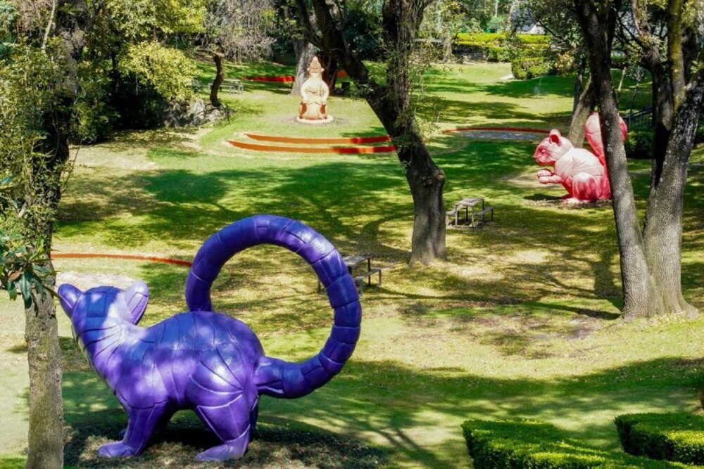 Jardín Hondonada en Chapultepec