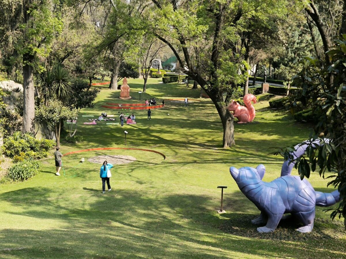 Jardín Hondonada en Chapultepec