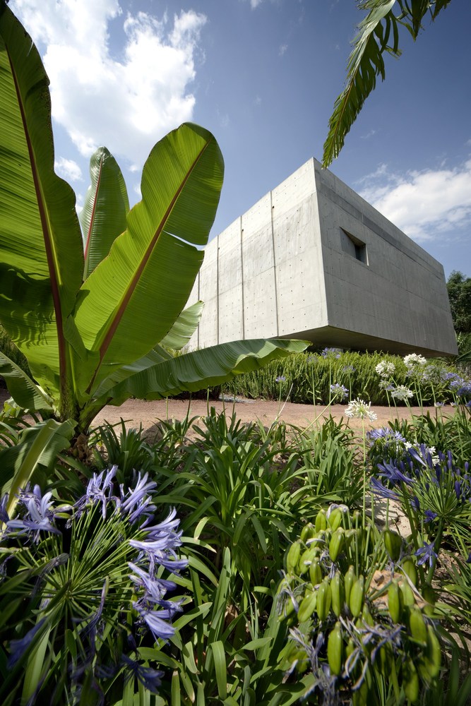 jardín botánico de la biblioteca vasconcelos