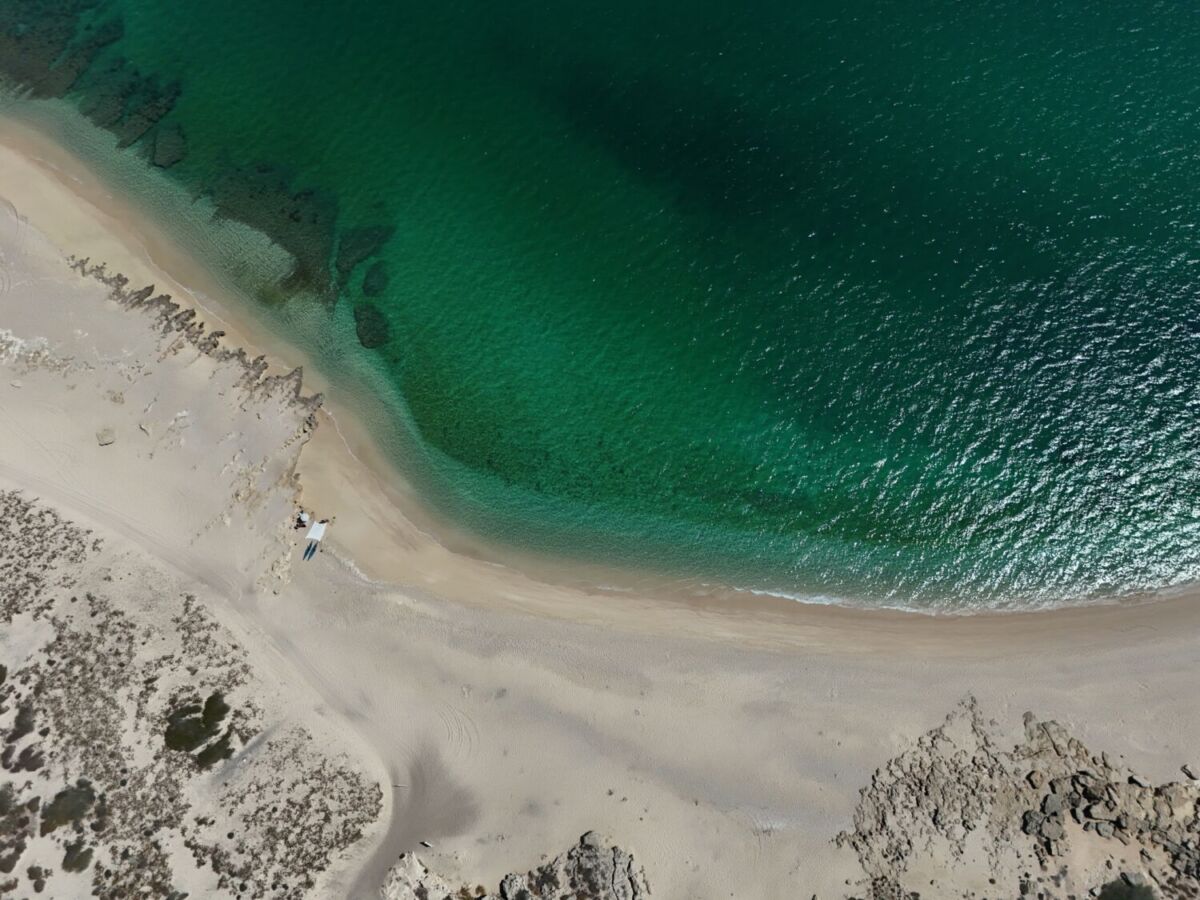 En La Ventana, en Baja California Sur ocurre la migración de rayas cada año 