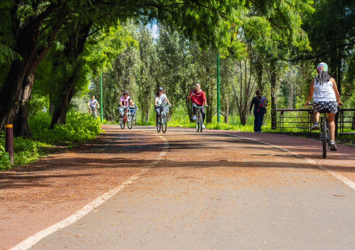 el parque ecológico xochimilco cuenta con caminos y senderos para bicicletas