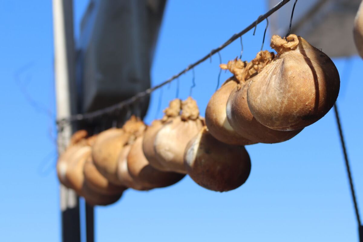 El queso artesanal es un alimento base en Tlaxco 