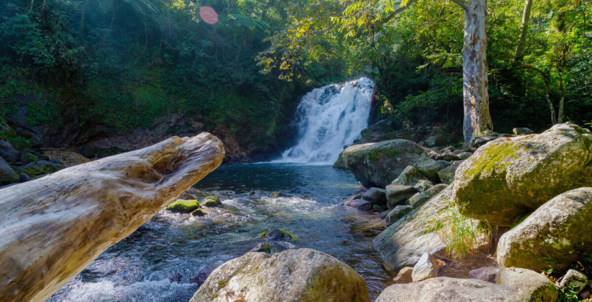 Cascada de la Monja, Veracruz 