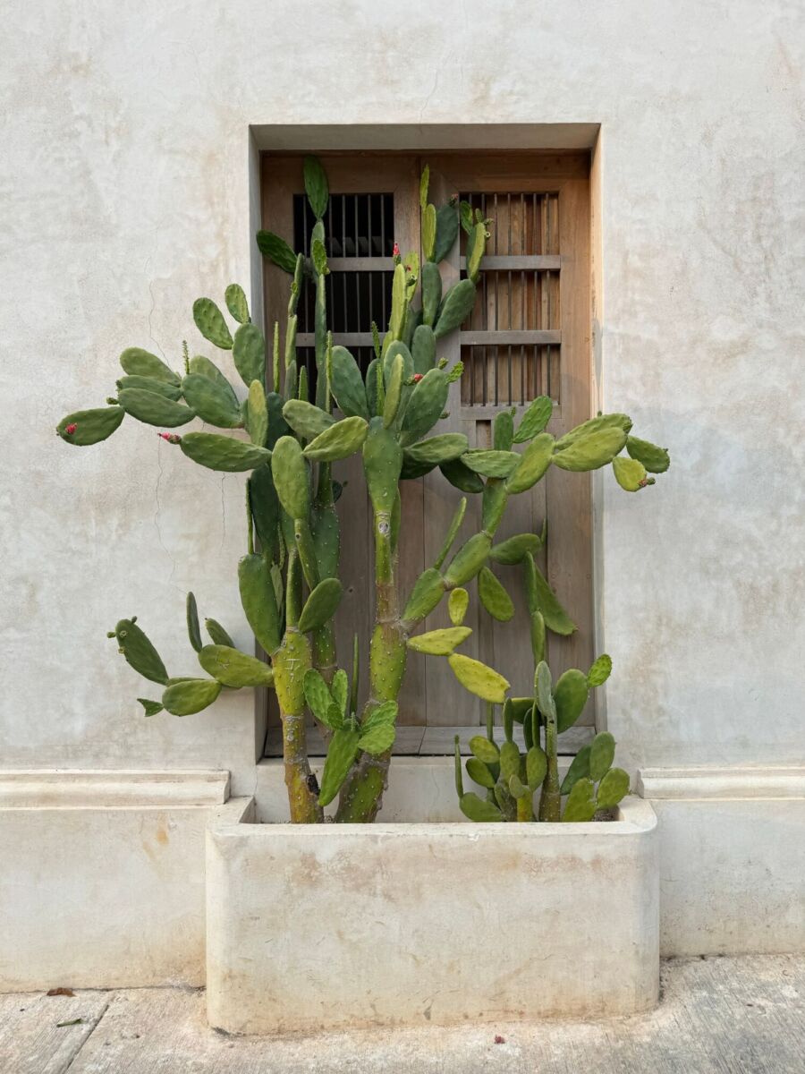 Espita Pueblo Mágico