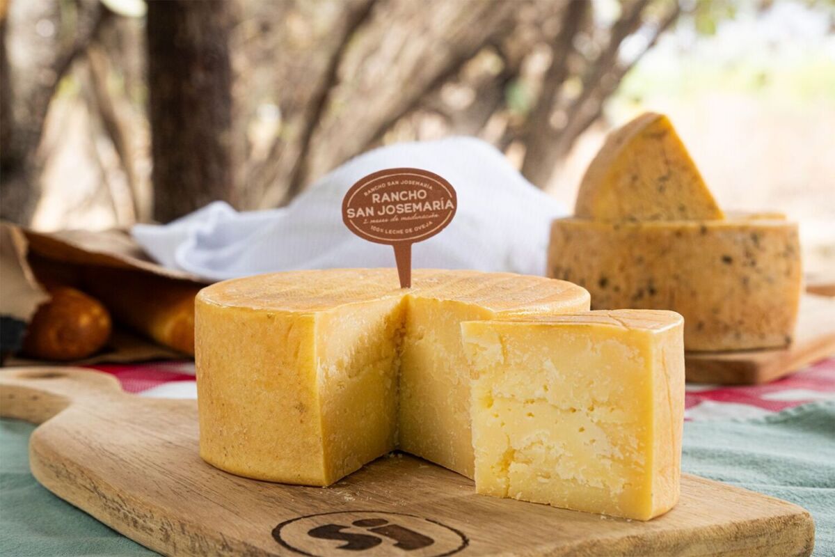 El plan perfecto de fin de semana es ir a Querétaro a comer quesos que han ganado premios en toda Latinoamérica