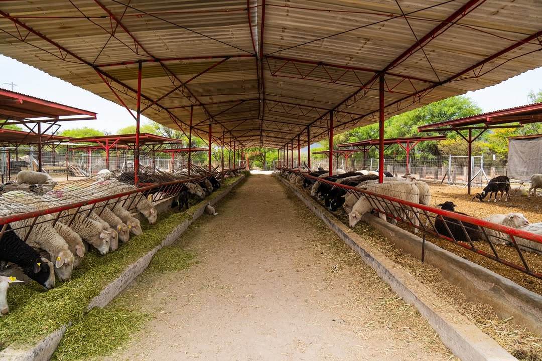 rancho san josemaria