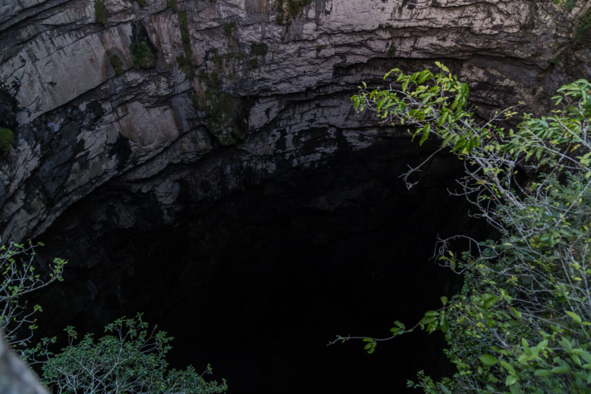 El Sótano de las Golondrinas se ubica en la Huasteca Potosina