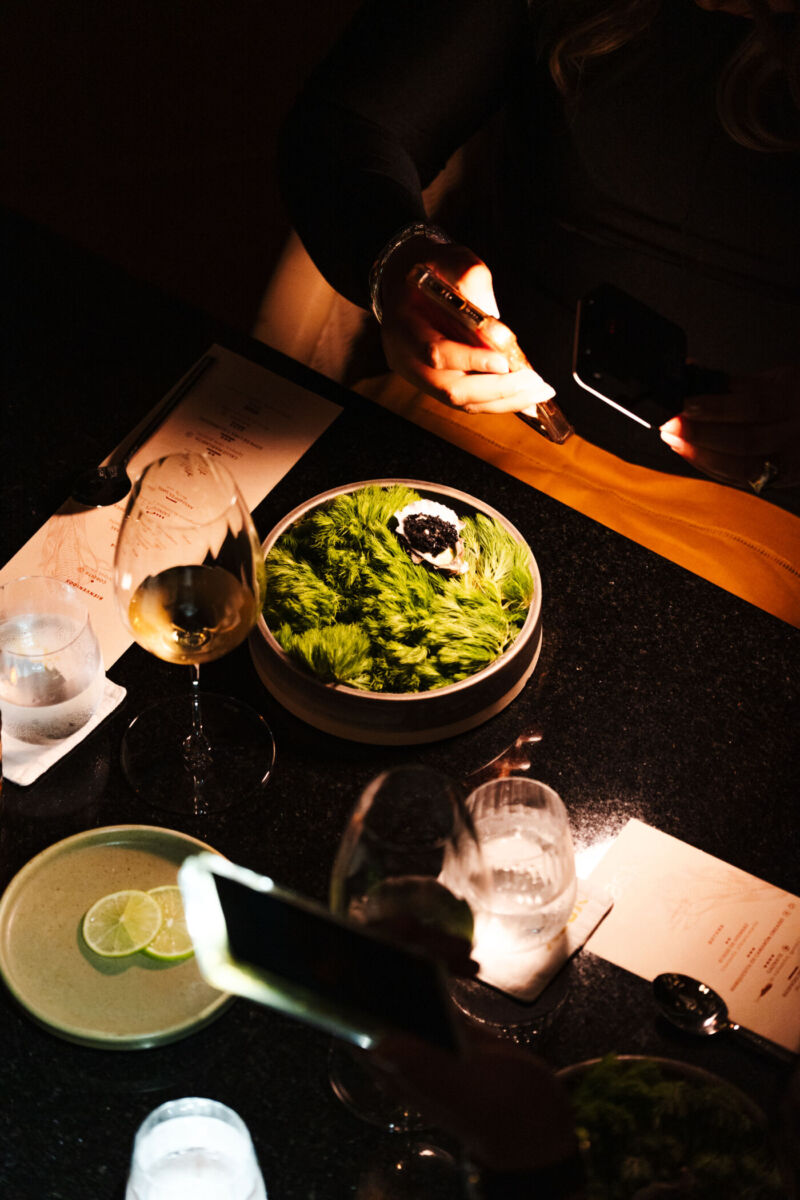 ostión con sambal de habanero. restaurante xaak, hotel xcaret arte