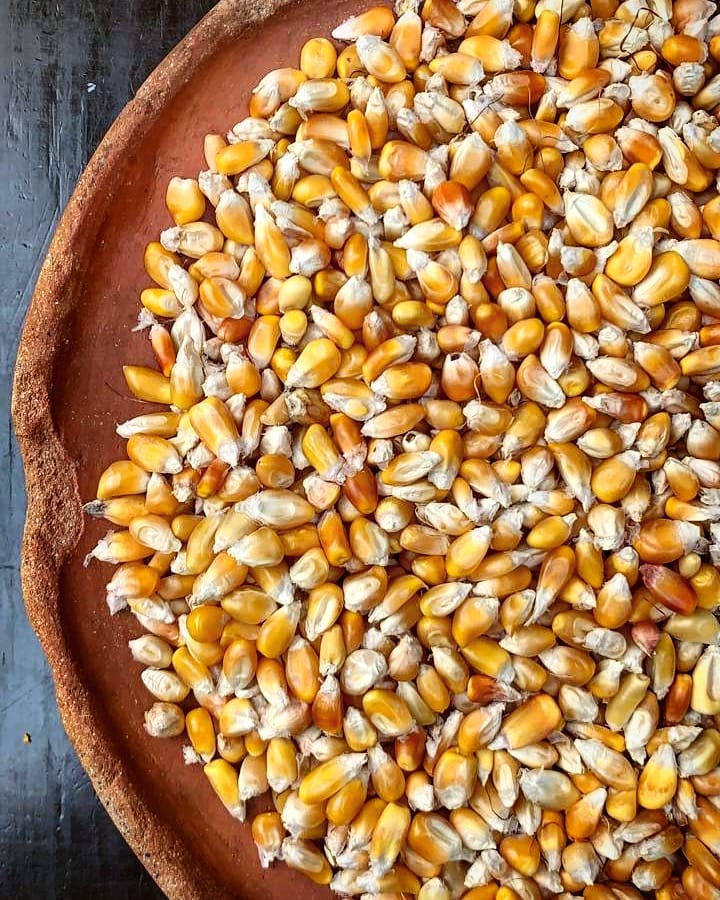 restaurantes en CDMX que honran al maíz 