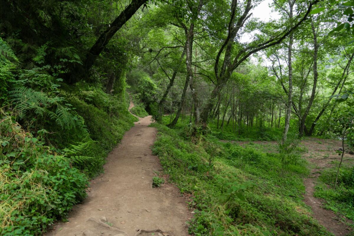 cascadas en Veracruz 