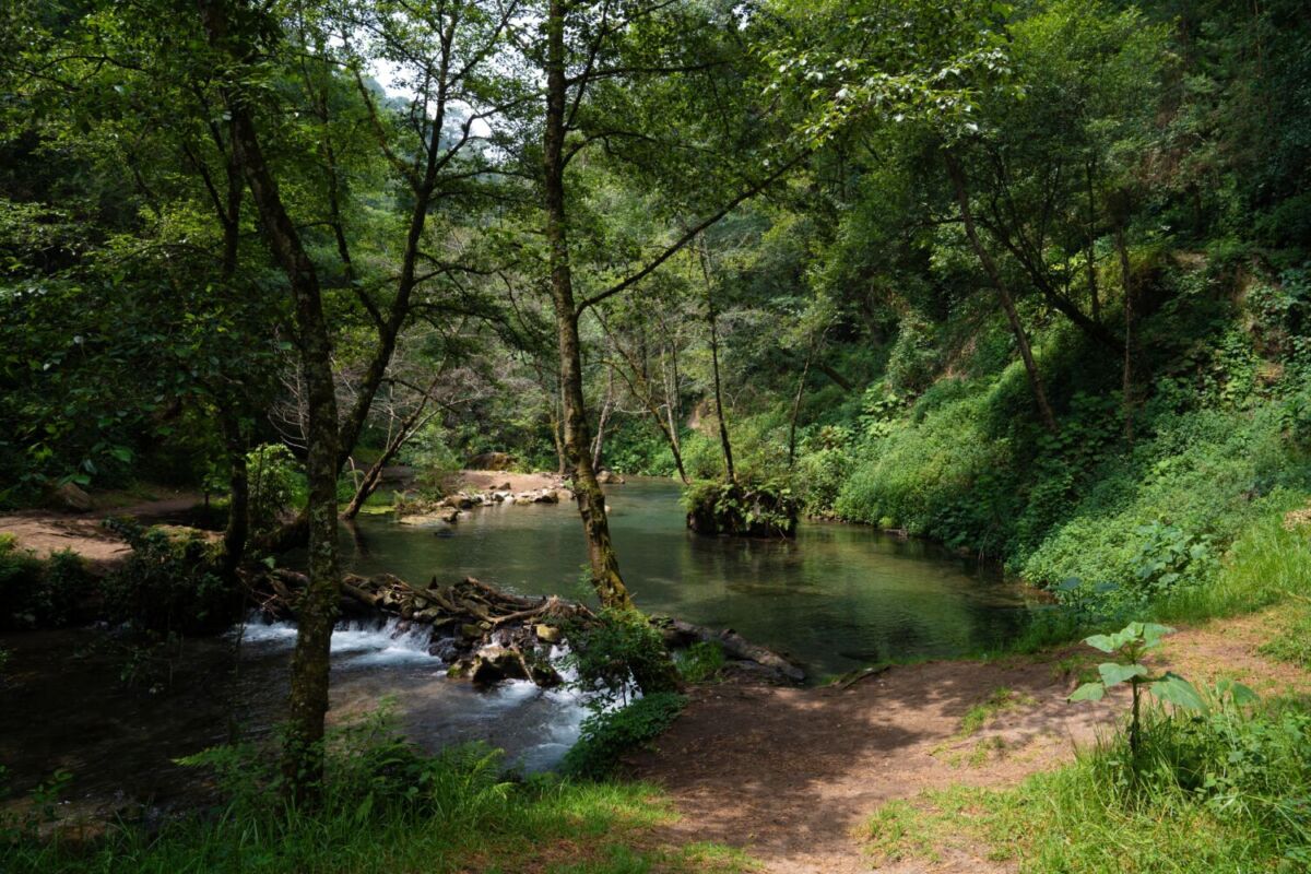 cascadas en Veracruz 