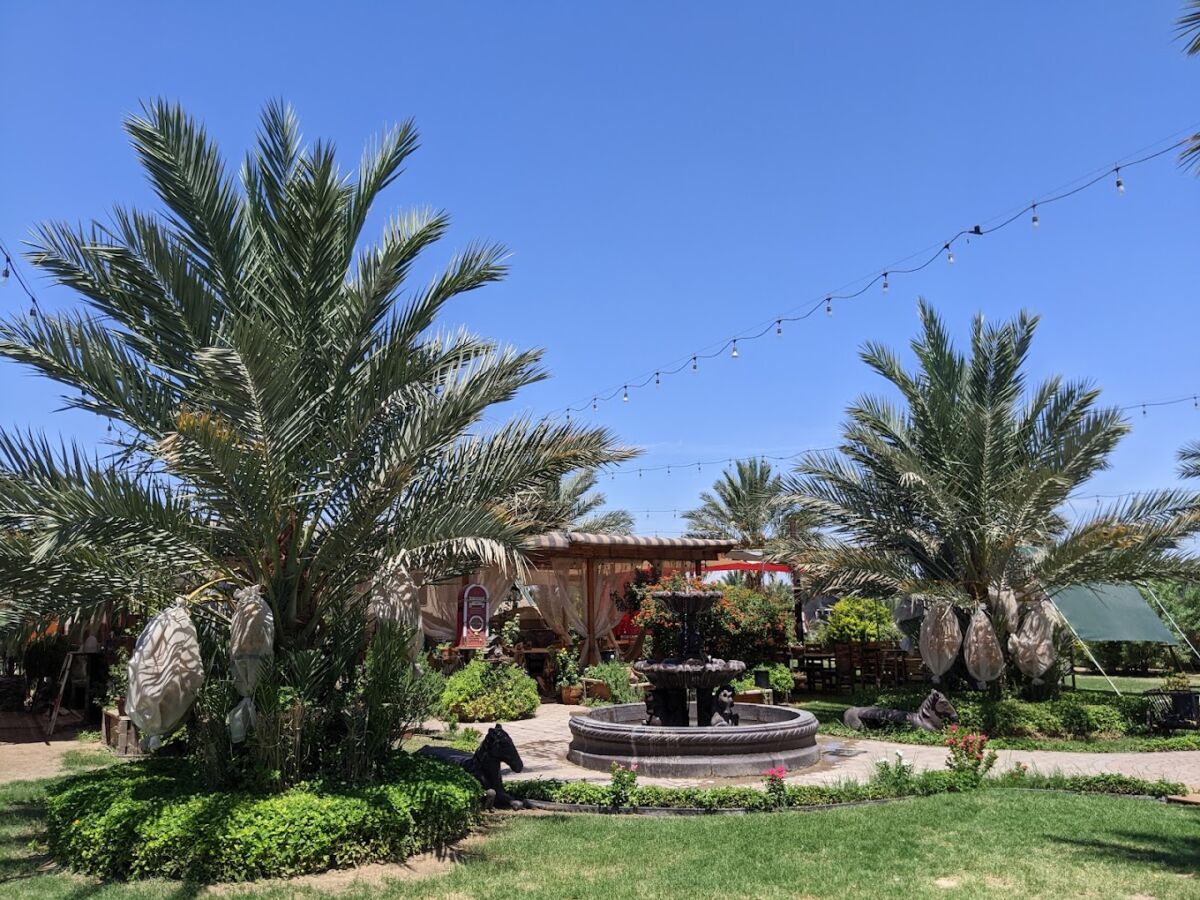 Rancho SantaCruz Mexicali