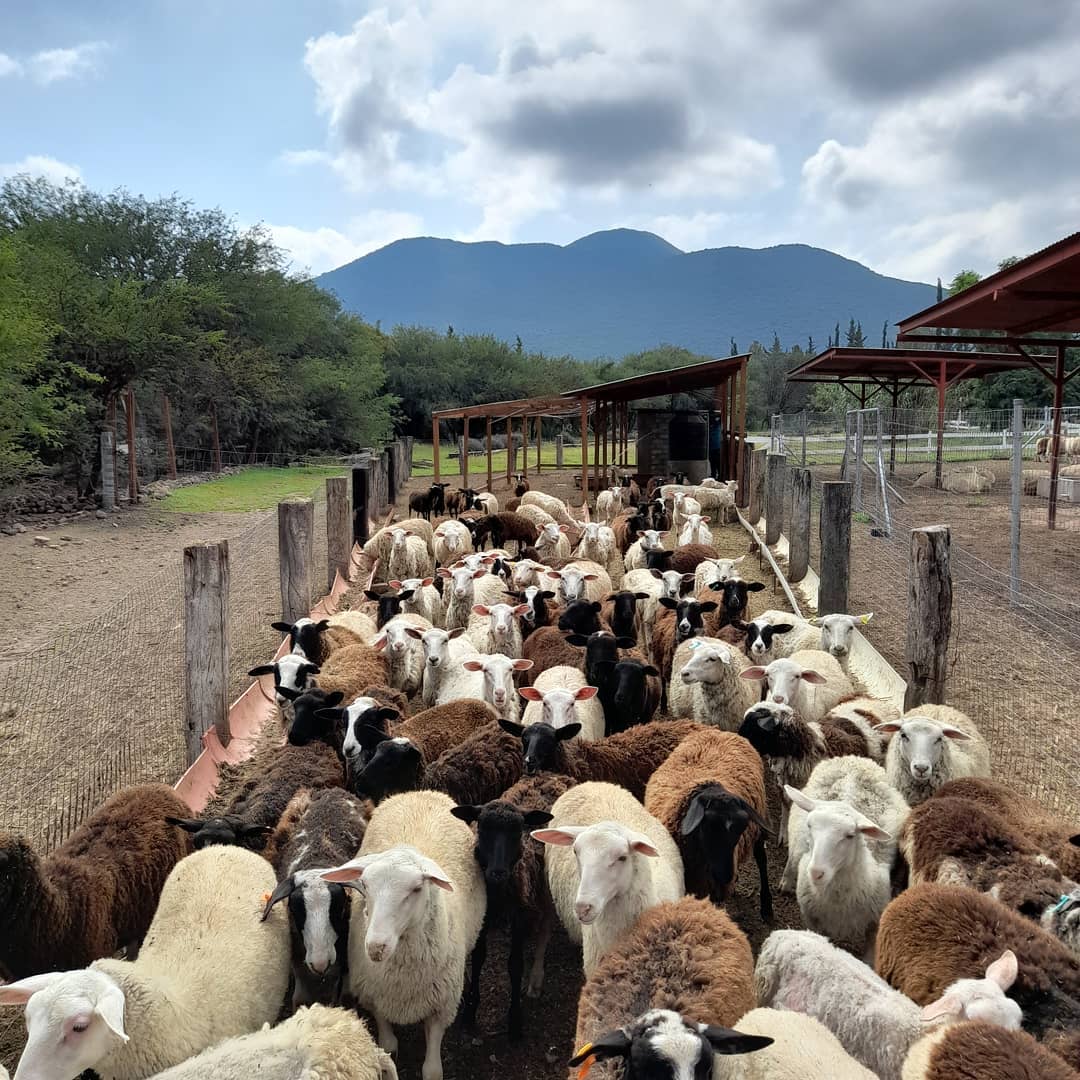 Rancho San Josemaría