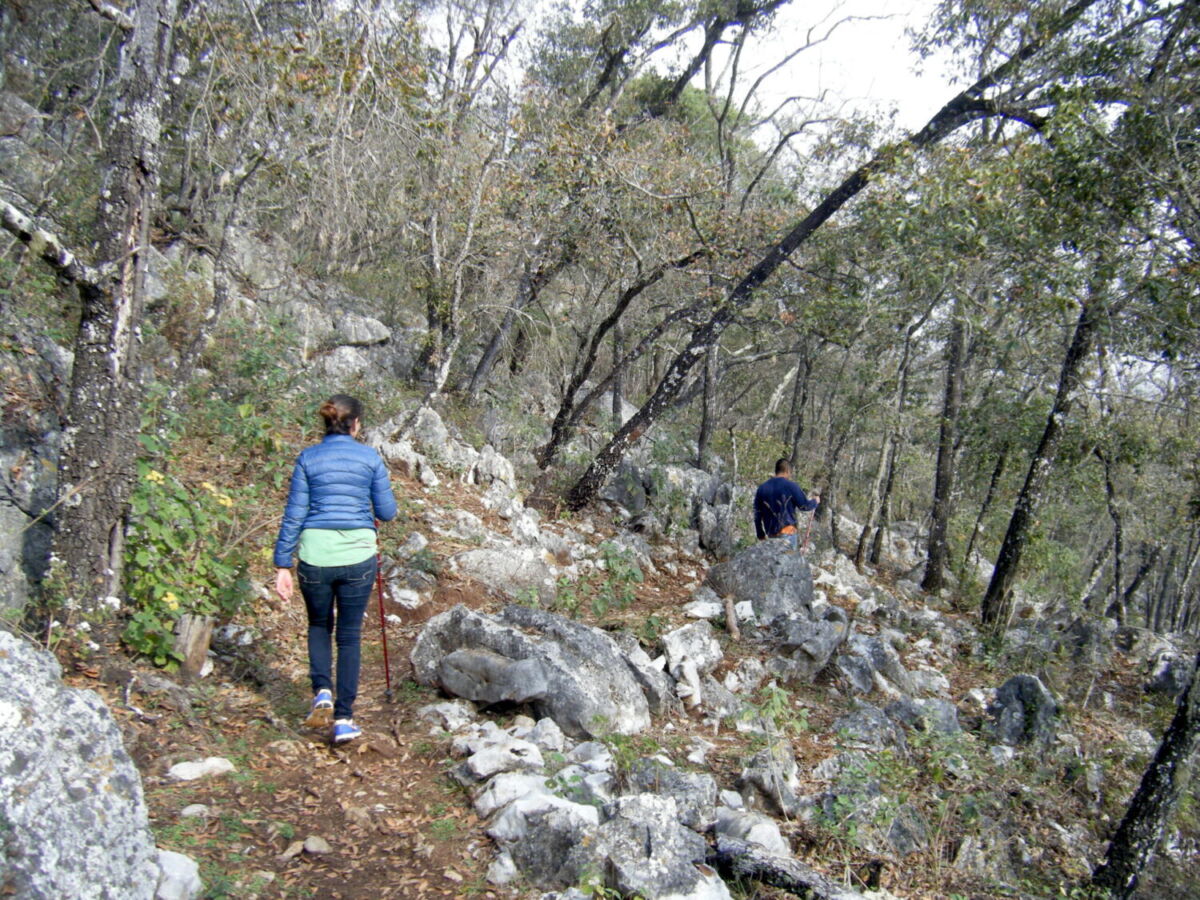Camino al Sótano de Barro