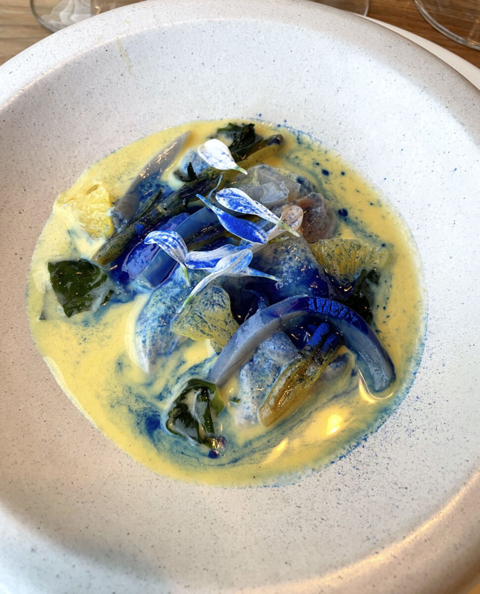 Xokol en Casa Fernanda