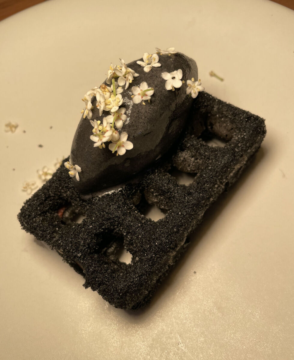 Xokol en Casa Fernanda