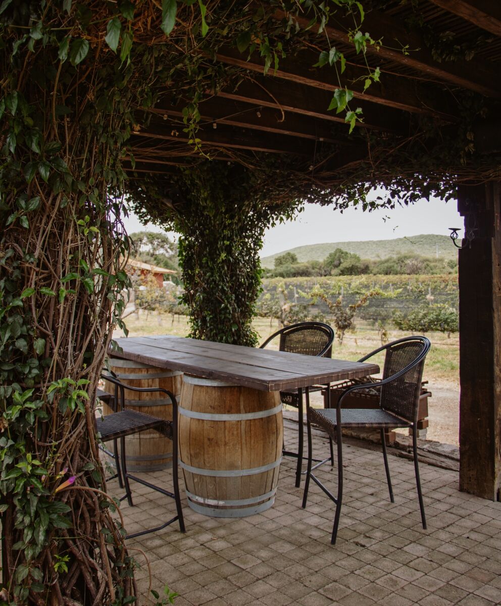 Casa de Quino viñedo