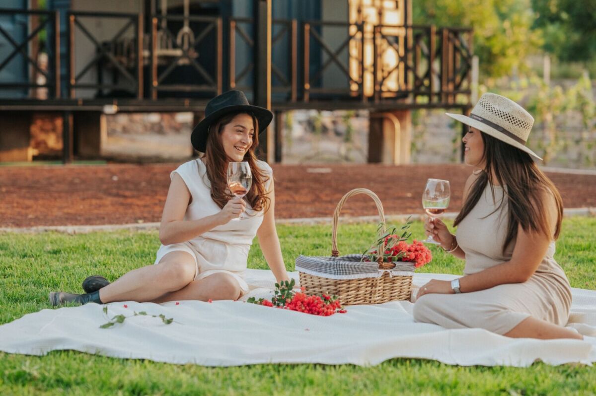 Tierra y Almas viñedo