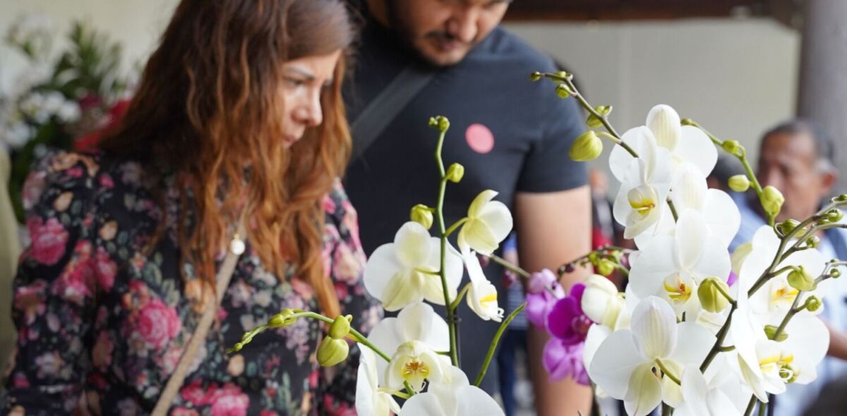 venta de orquídeas franz mayer