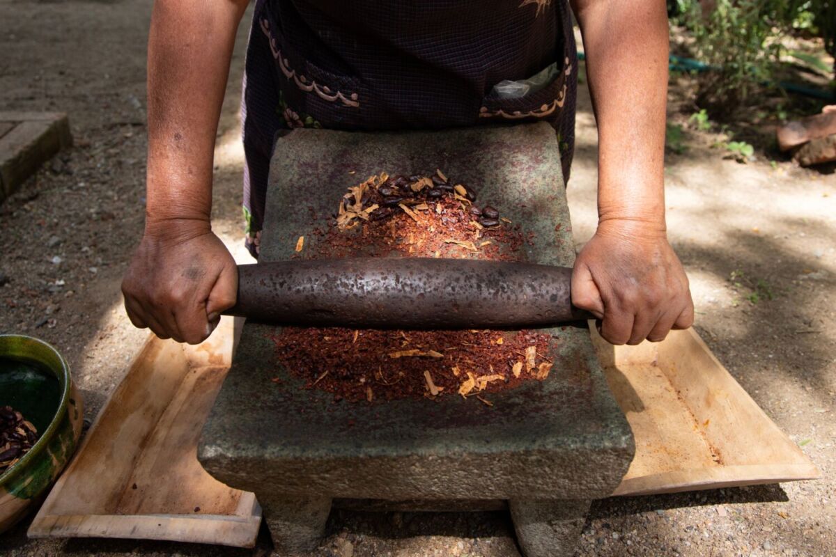 Comalcalco es reconocida como la capital del cacao en México 