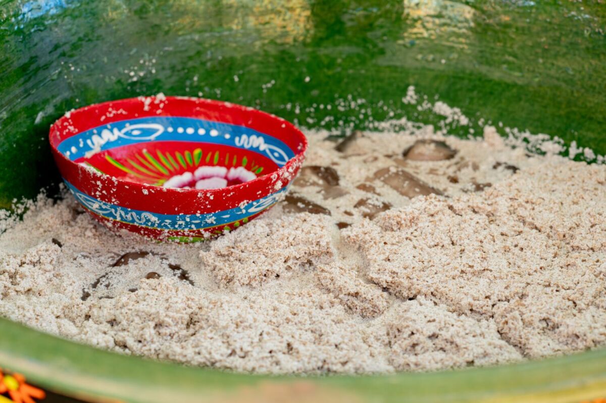 Festival del Café, Cacao y Chocolate Mexicano 2026.