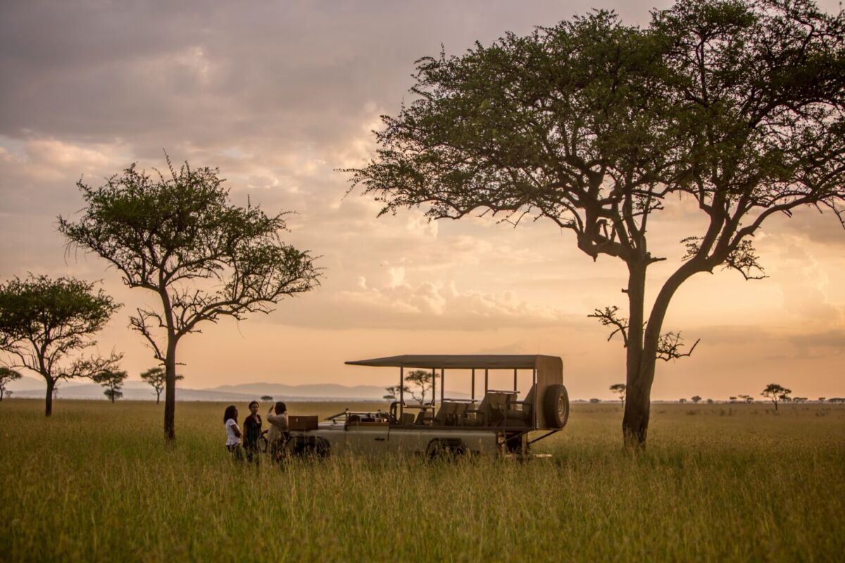 safari responsable