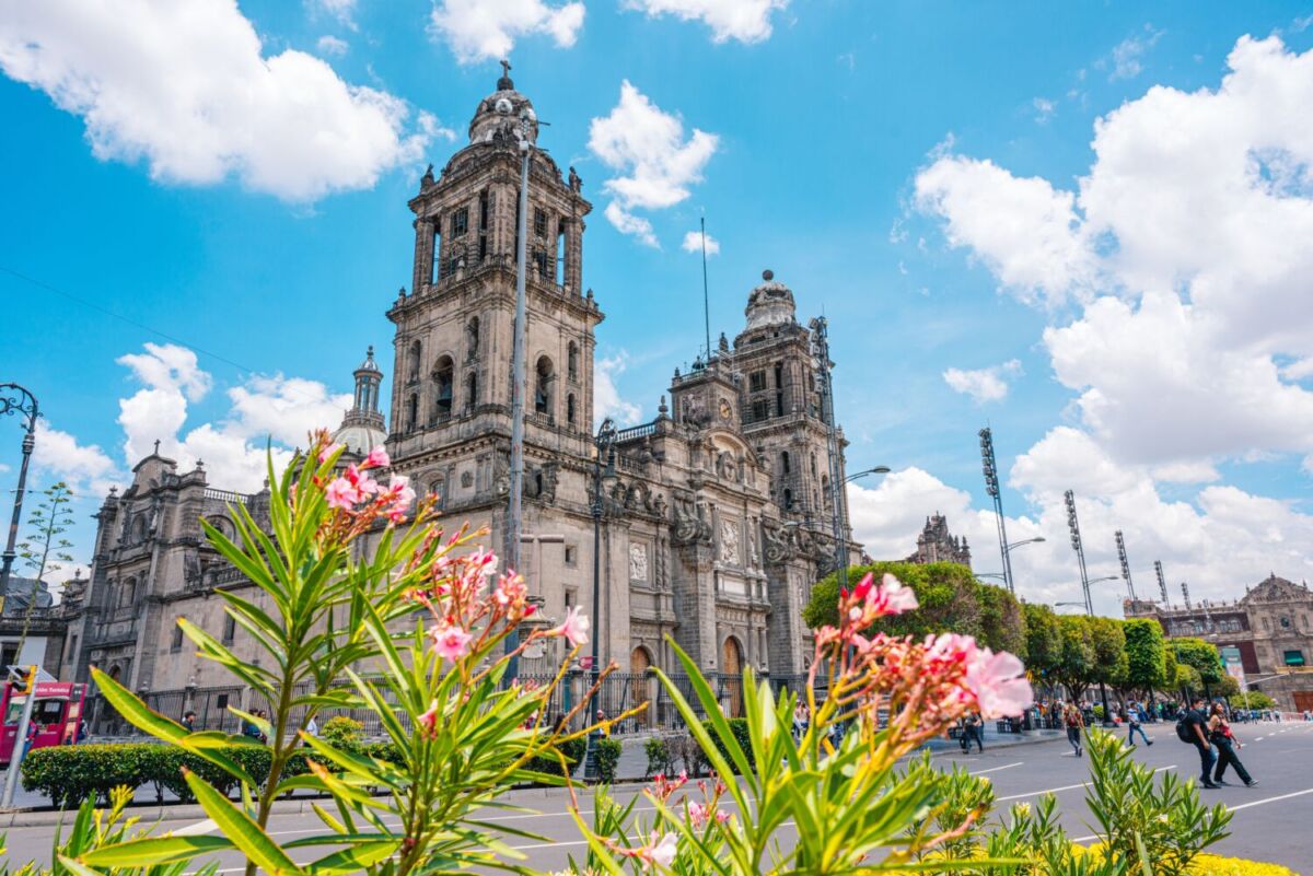 No te pierdas esta instalación de flores en el Centro Histórico que todos querrán fotografiar