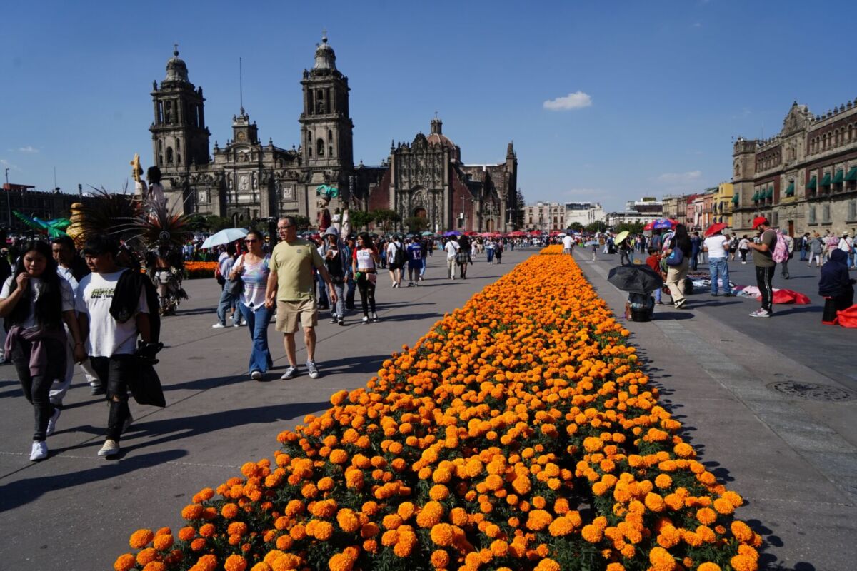 El Jardín del buen Amor estará disponible del 14 al 22 de febrero 