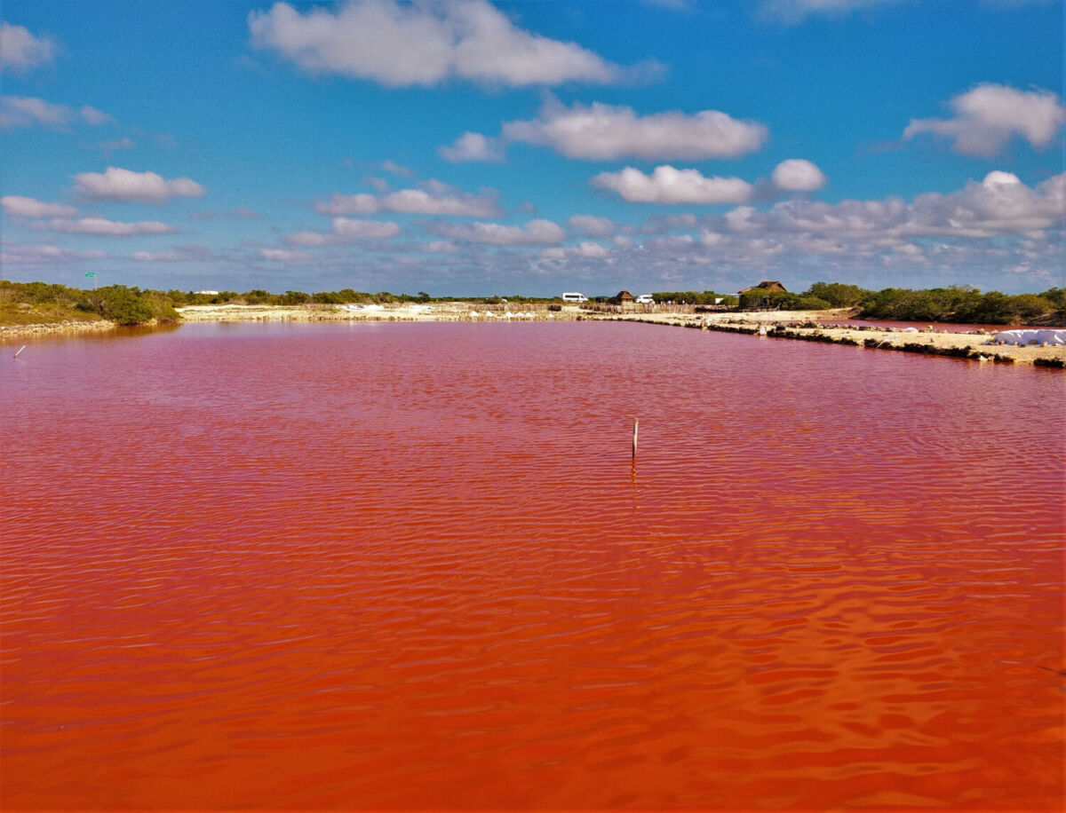 Las lagunas rosas son un fenómeno natural poco usual en México 