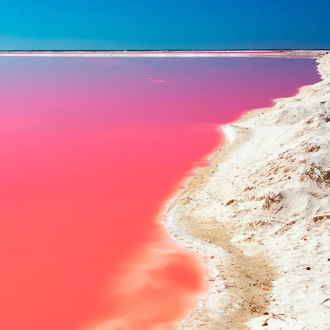 La Playa Rosa se ubica en la Isla del Carmen, en Baja California Sur 