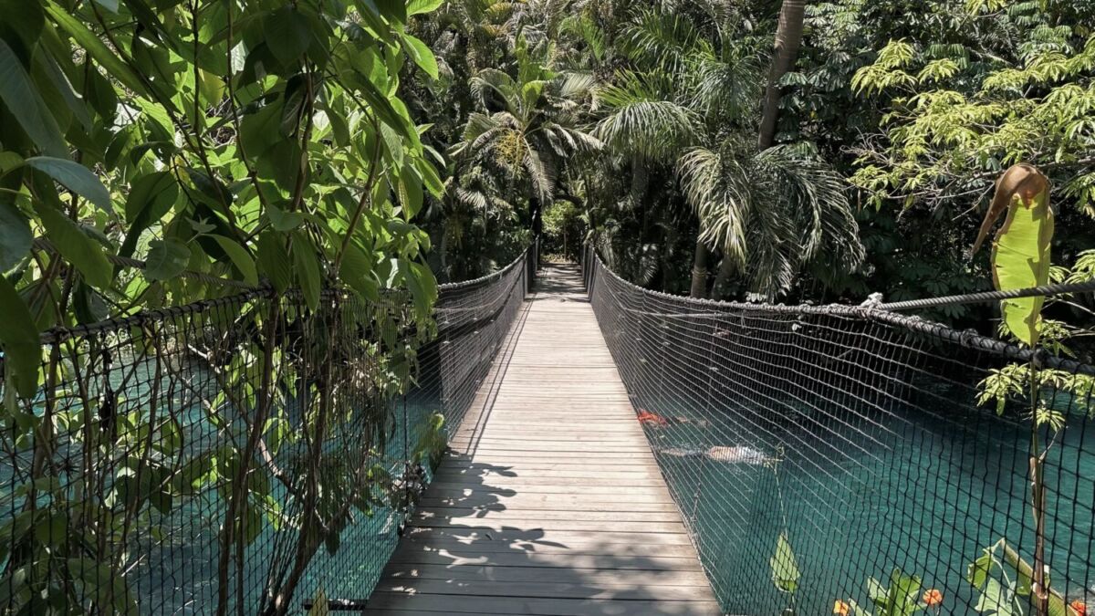 parque natural en Morelos 