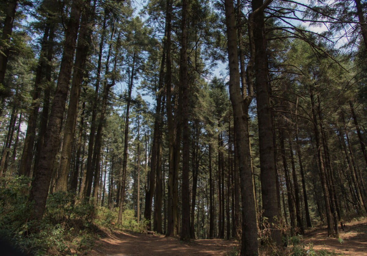 La Marquesa, Estado de México 