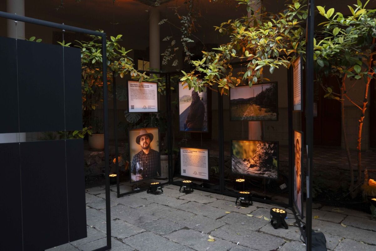 migrantes en el valle de napa