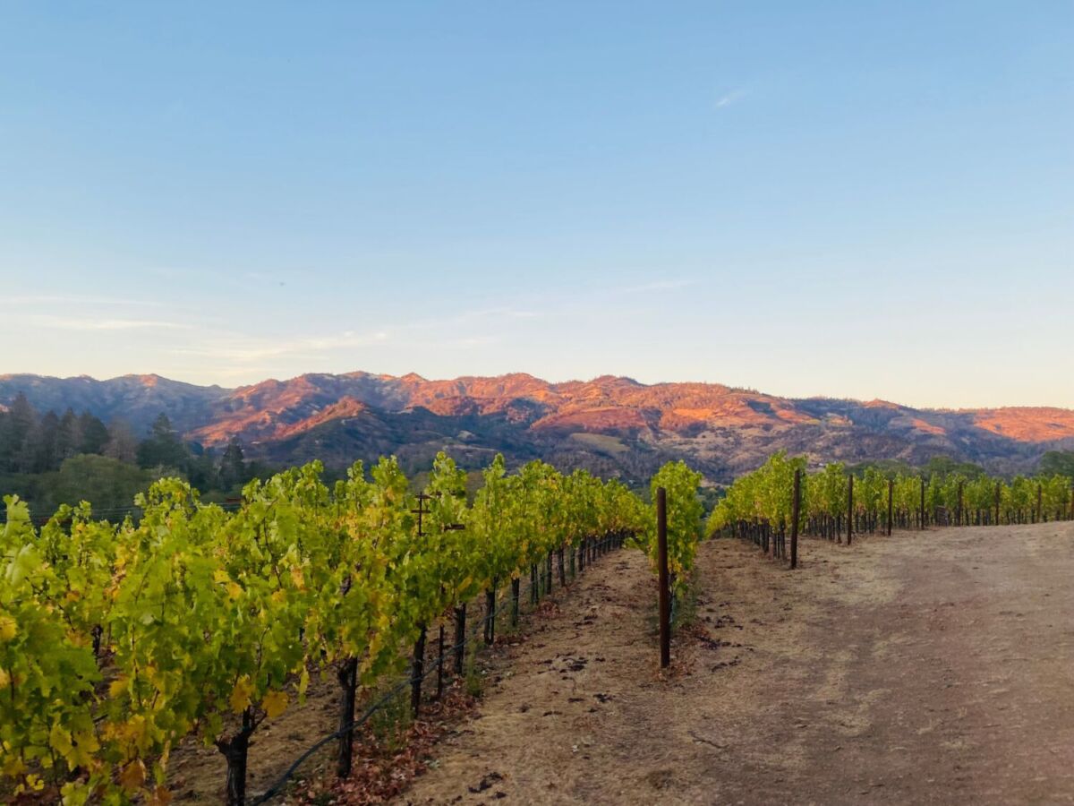 Viñedos en California