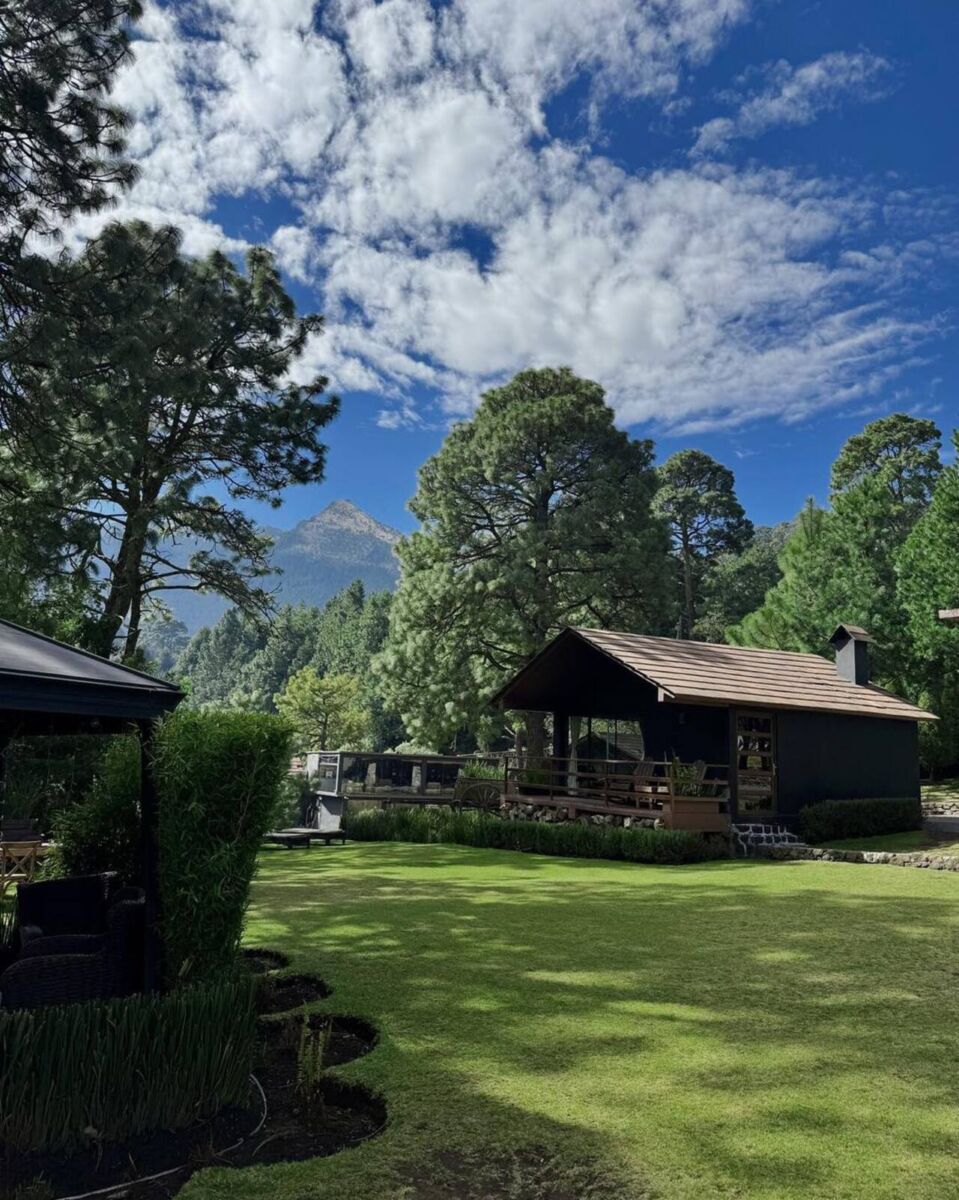 En este hotel boutique tendrás una escapada del caos sin salir de la CDMX