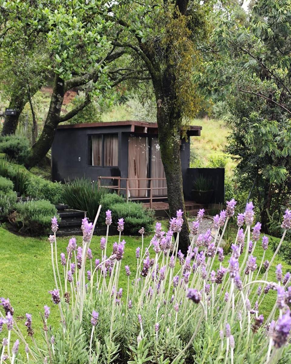 acogedoras suites en orgánico hotel boutique