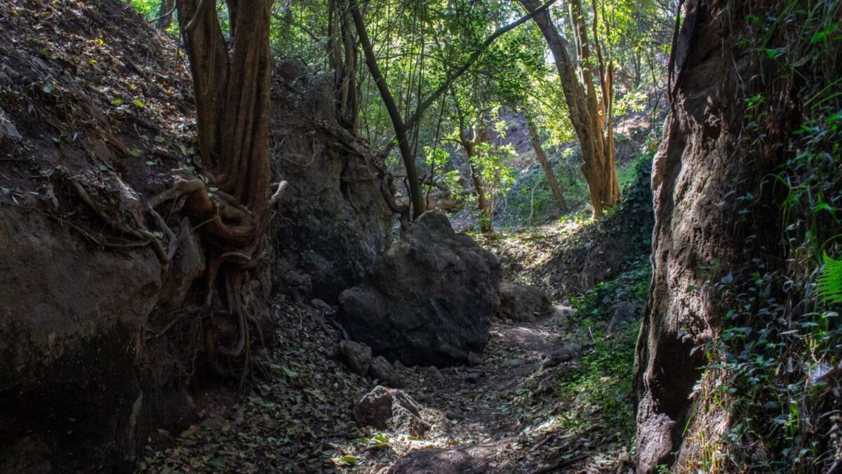 Parque Barranca de Barrilaco