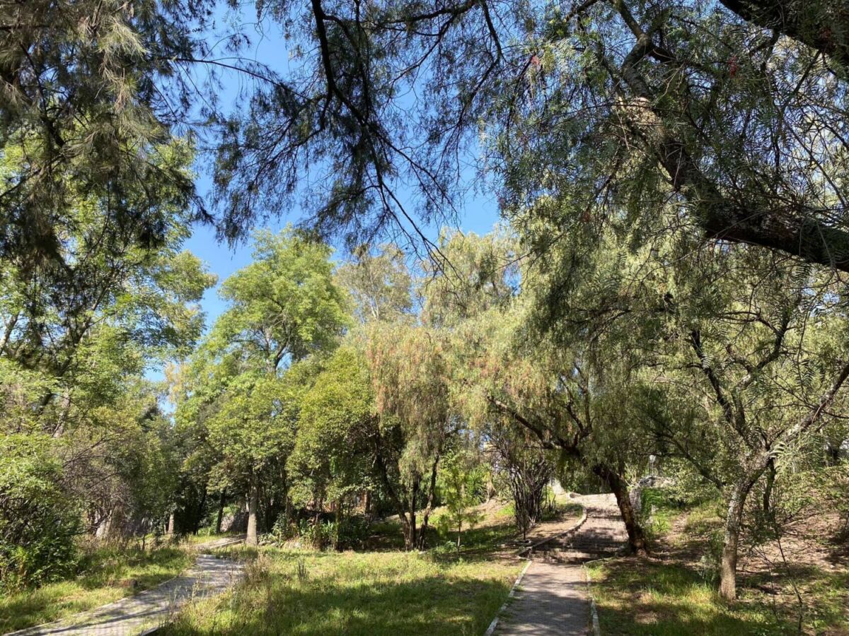 Parque Barranca de Barrilaco