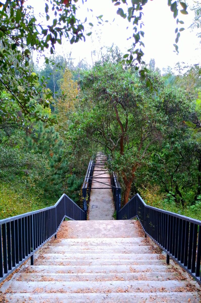 Parque Barranca de Barrilaco