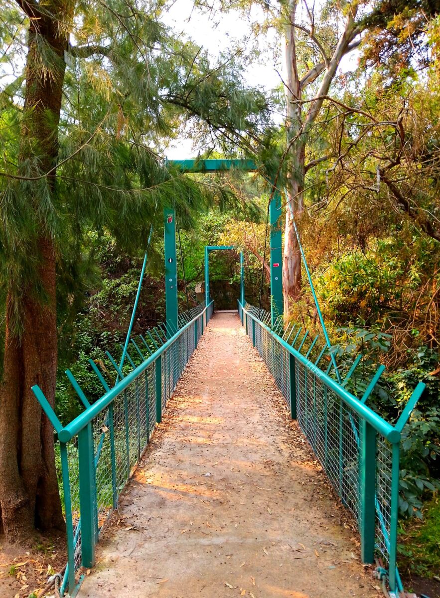 Parque Barranca de Barrilaco