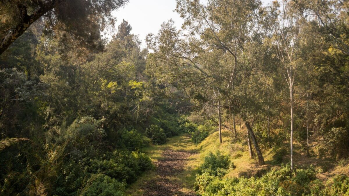Parque Barranca de Barrilaco