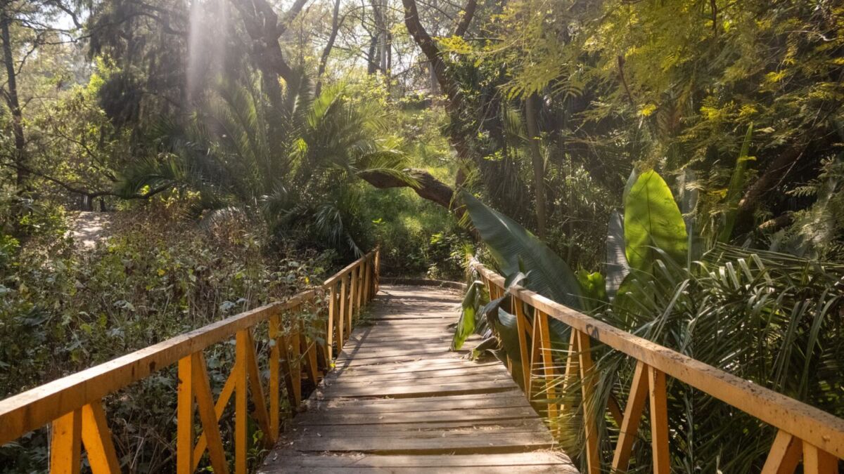 Parque Barranca de Barrilaco
