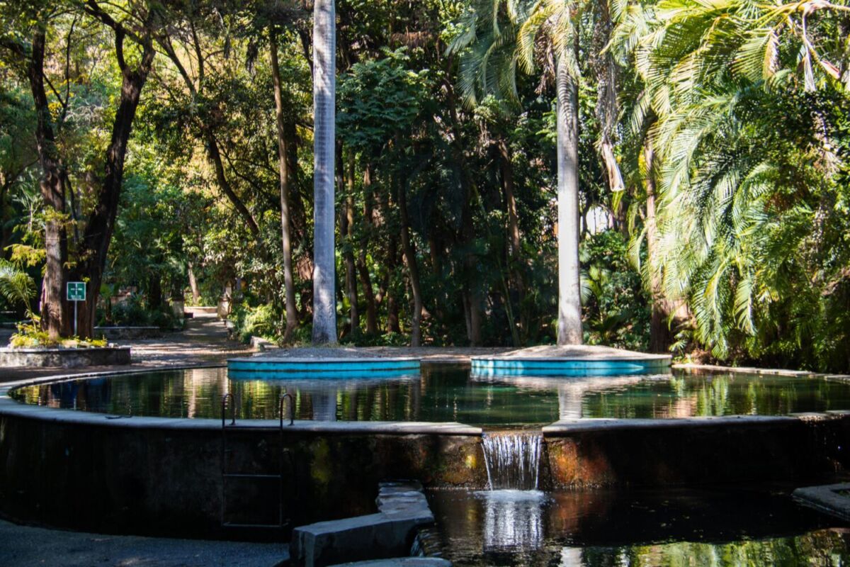 El parque que inauguró Porfirio Díaz y hoy es un oasis escondido en Cuernavaca, a menos de 2 horas de la CDMX