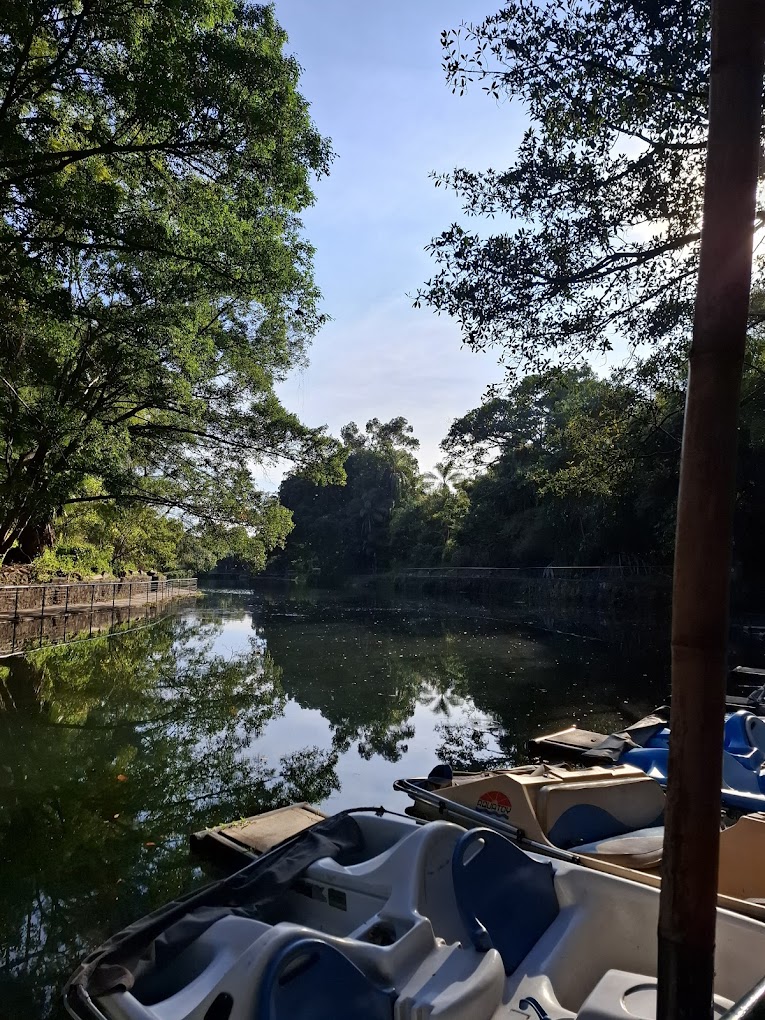 parque público en Cuernavaca 