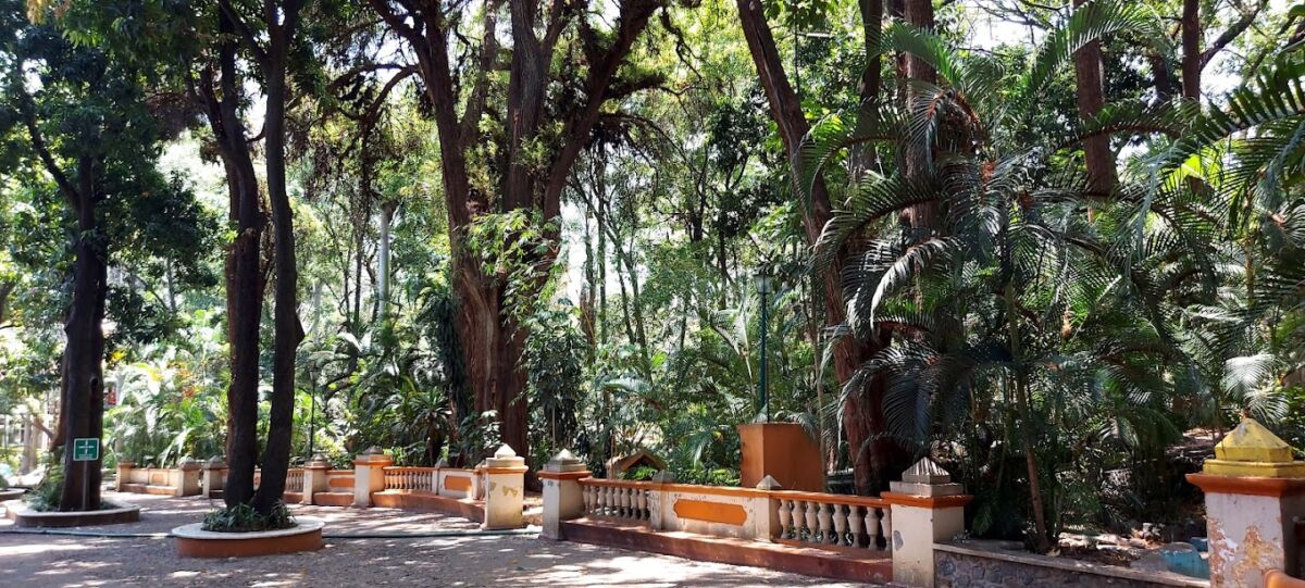 Parque Melchor Ocampo, Cuernavaca 